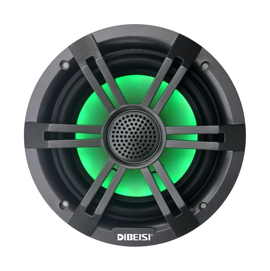 Купить Морская акустика RGB Diibeisi DBS6528T-RGB 7ft.ru в интернет магазине Семь Футов