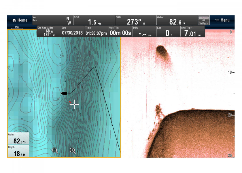 Купить Raymarine E70204 модуль плоттера CP100 CHIRP DownVision Grey 7ft.ru в интернет магазине Семь Футов