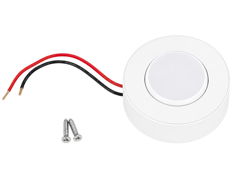 Купить SEATEC потолочный светильник поверхностного монтажа LED / регулируемый светильник / из алюминия / белый 7ft.ru в интернет магазине Семь Футов