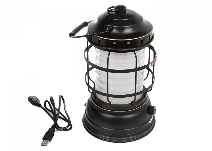 Купить BAREBONES Светодиодный настольный фонарь/бронза 21258-bvs 7ft.ru в интернет магазине Семь Футов