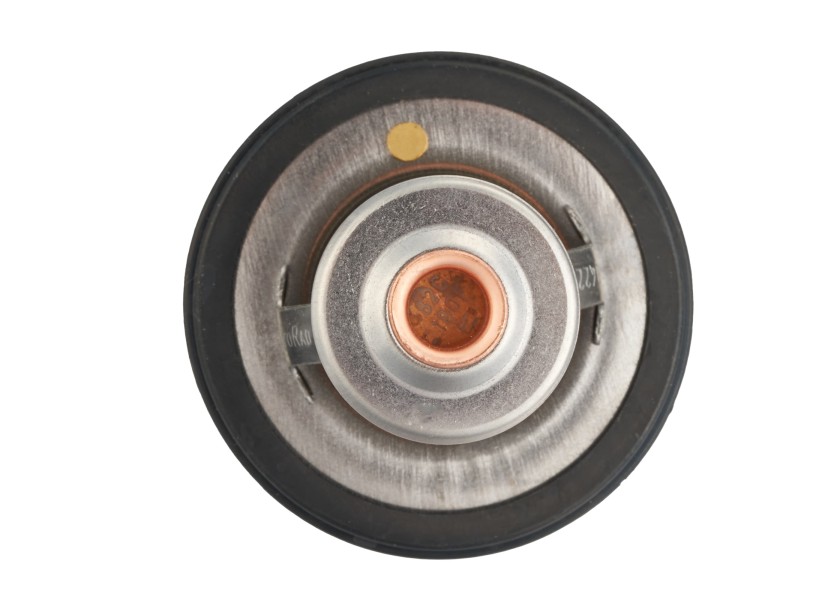 Купить Thermostat Kit for Volvo Penta 31/32/41/42/43/44 series / KA(M)D300 79148-bvs 7ft.ru в интернет магазине Семь Футов