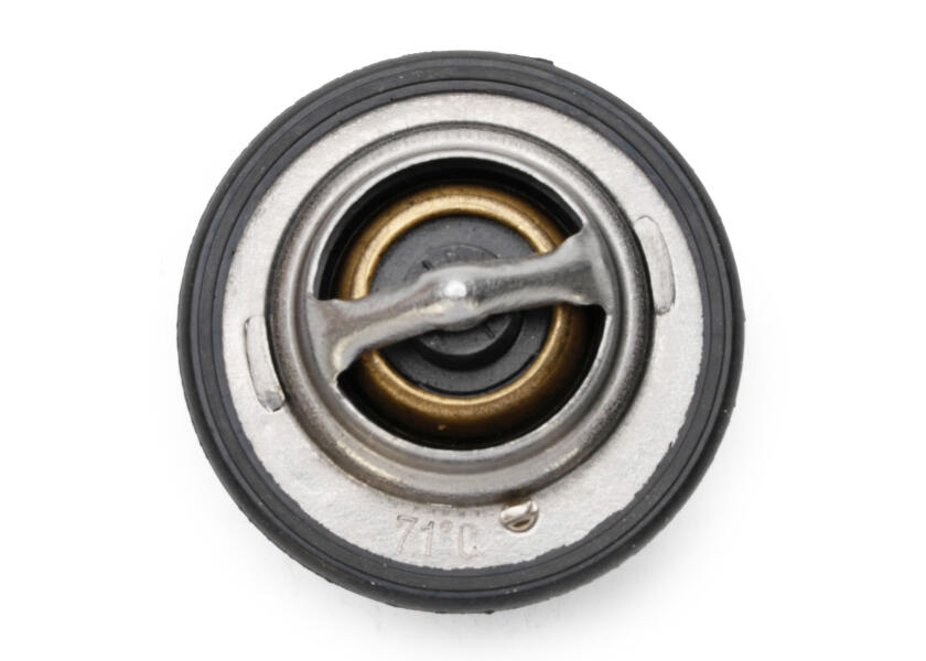 Купить Thermostat for Yanmar 2YM15 / 3YM / 3YM20 / 3YM30 79352-bvs 7ft.ru в интернет магазине Семь Футов