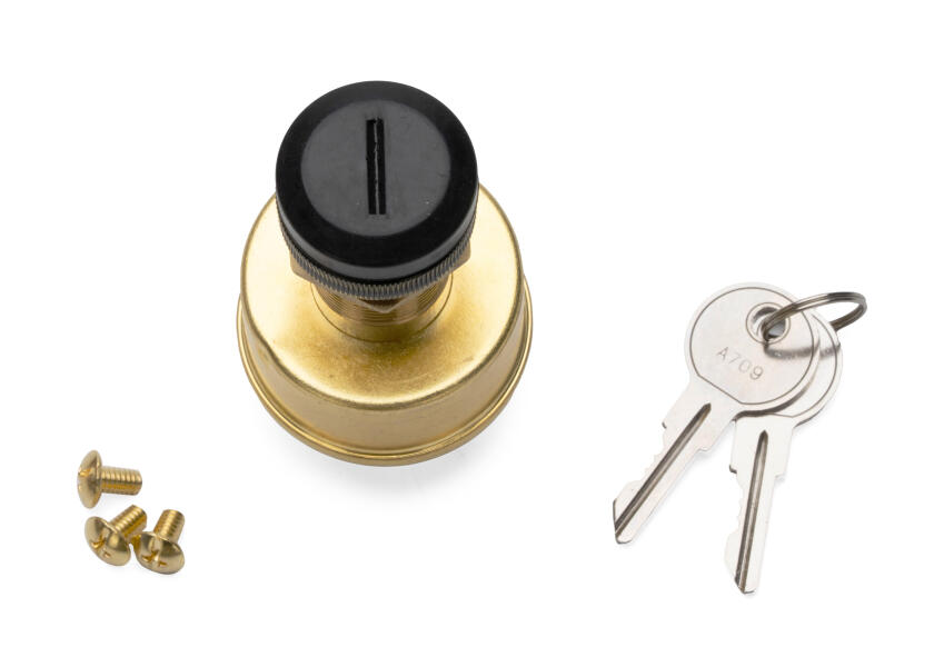 Купить Ignition switch, waterproof / brass 80373-bvs 7ft.ru в интернет магазине Семь Футов