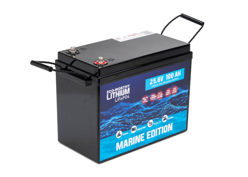 Купить Морская литиевая батарея LiFePO4 / 24 В / 100 Ач 7ft.ru в интернет магазине Семь Футов