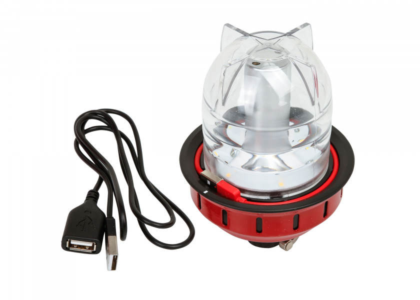 Купить BAREBONES Светодиодный настольный/подвесной светильник/красный 24173-bvs 7ft.ru в интернет магазине Семь Футов