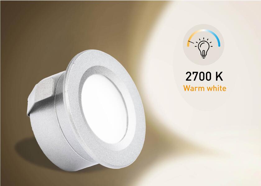 Купить SEATEC LED Mini Built-in Spot / silver 32009-bvs 7ft.ru в интернет магазине Семь Футов