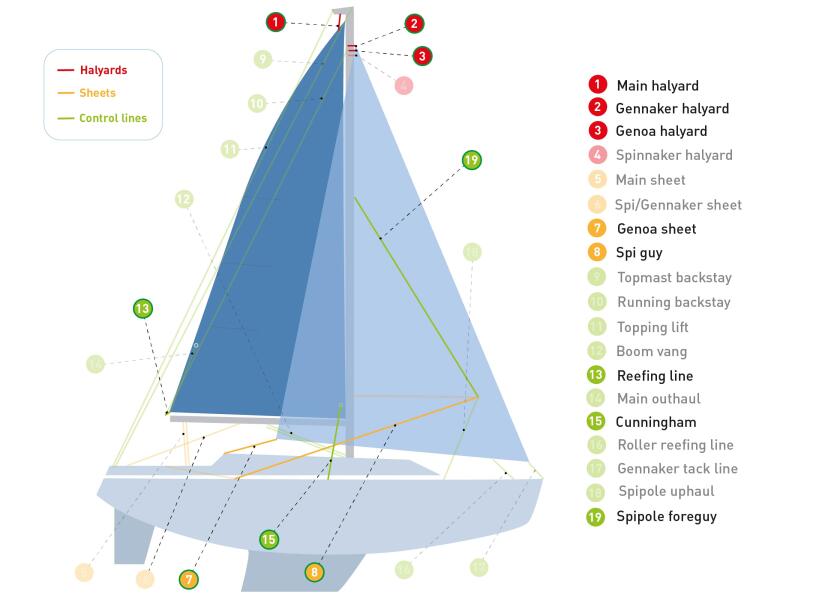 Купить LIROS REGATTA 2000 559076-bvs 7ft.ru в интернет магазине Семь Футов