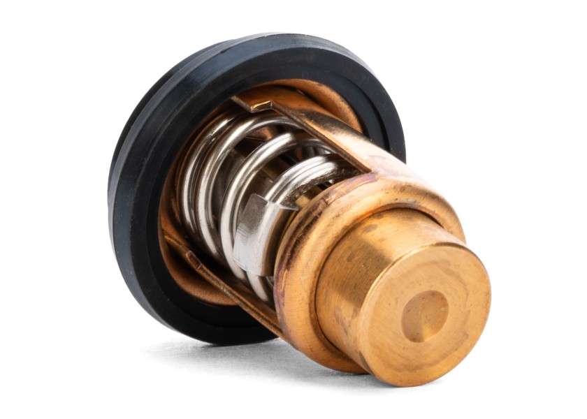 Купить MERCURY Thermostat 804540 51730-bvs 7ft.ru в интернет магазине Семь Футов