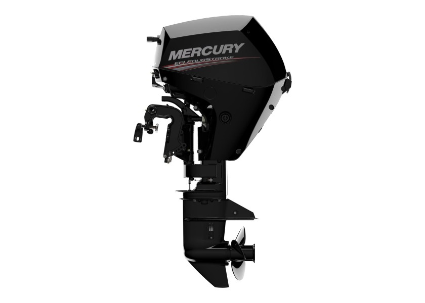 Купить MERCURY F20-EFI-ELPT Outboard Motor / long shaft / electric start / incl. single lever control 61231-bvs 7ft.ru в интернет магазине Семь Футов