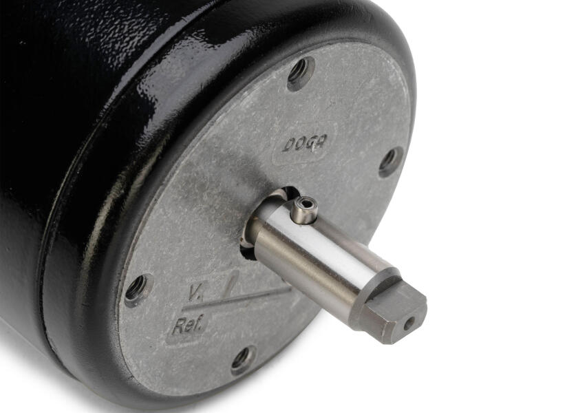 Купить LECOMBLE & SCHMITT Replacement Motor / 24 V 32266-bvs 7ft.ru в интернет магазине Семь Футов