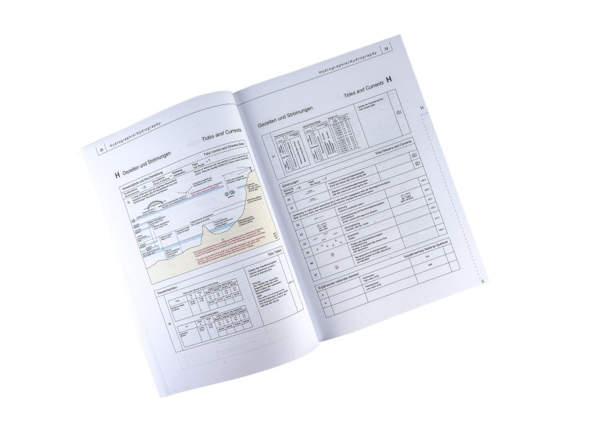 Купить BSH INT-1 DK - График INT1 77491-bvs 7ft.ru в интернет магазине Семь Футов