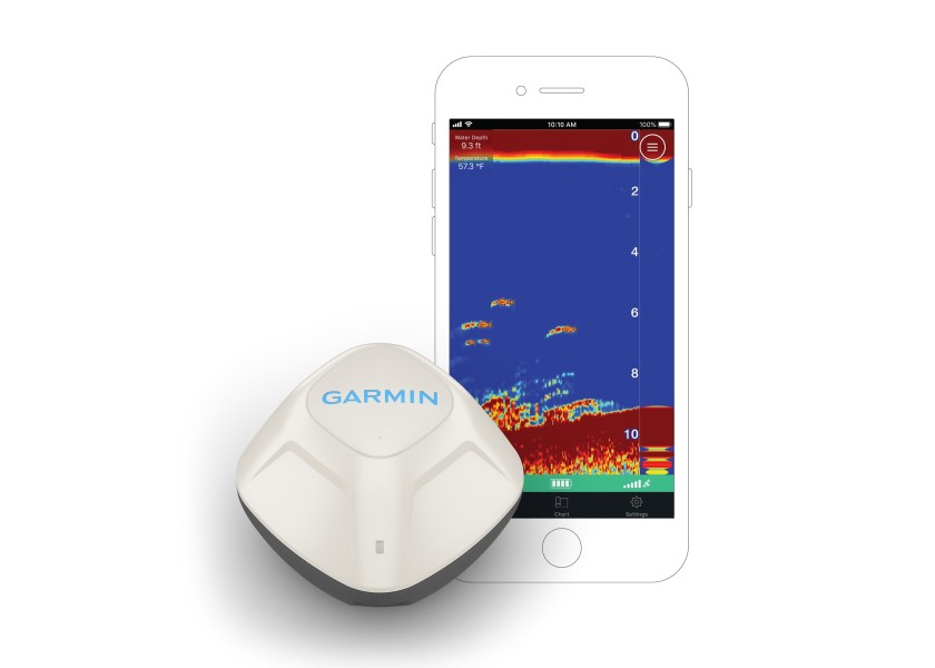 Купить Garmin 010-02246-00 Striker Cast С преобразователем Белая White 7ft.ru в интернет магазине Семь Футов