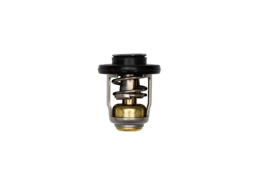 Купить MERCURY Thermostat 8M0139434 52078-bvs 7ft.ru в интернет магазине Семь Футов