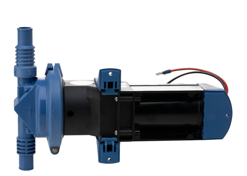 Купить WHALE GULPER 320 Electric Bilge Pump 52145-bvs 7ft.ru в интернет магазине Семь Футов
