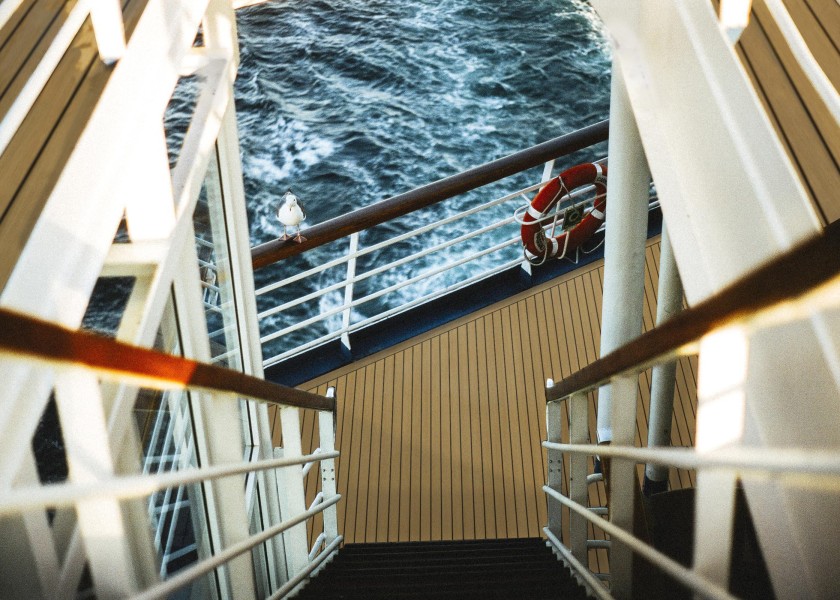 Купить Двойная доска / черная линия конопатки / 2 квадратных метра / Тип: NUTEAK SAM--2X50-DBP - Musterstück 7ft.ru в интернет магазине Семь Футов