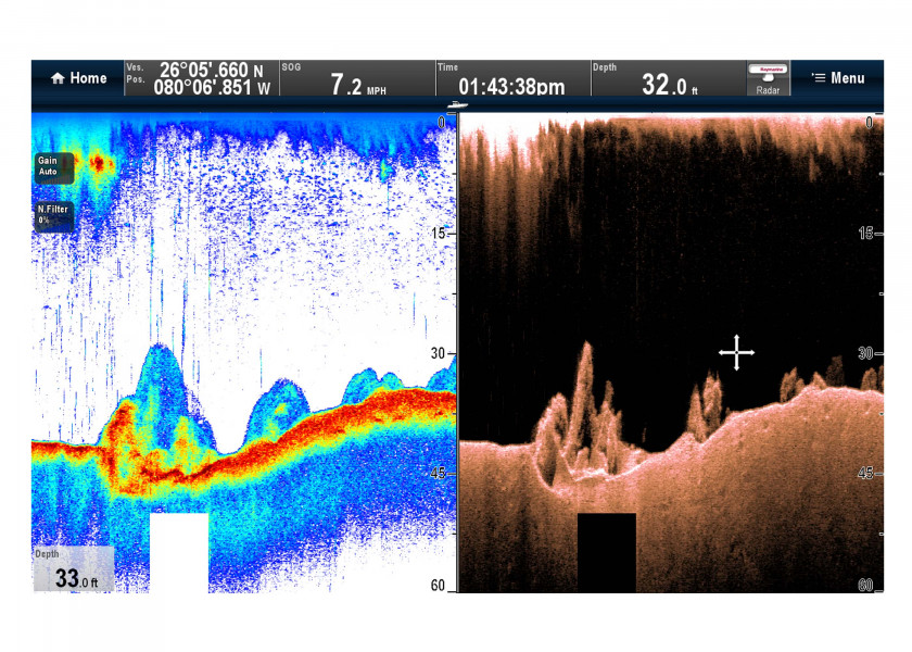 Купить Raymarine E70204 модуль плоттера CP100 CHIRP DownVision Grey 7ft.ru в интернет магазине Семь Футов