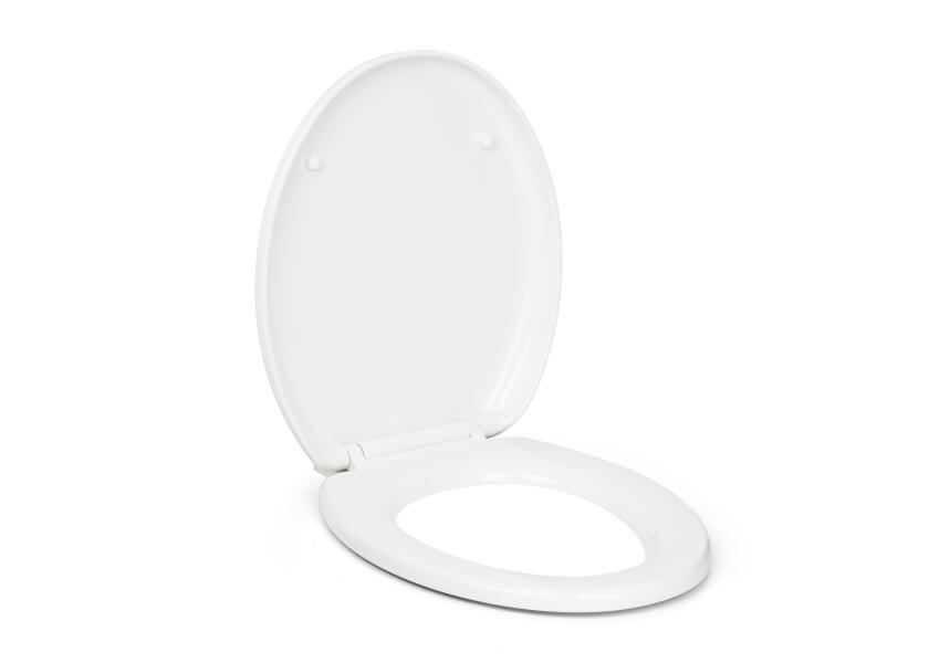 Купить OCEAN TECHNOLOGIES Replacement Toilet Seat / comfort / soft close 76910-bvs 7ft.ru в интернет магазине Семь Футов