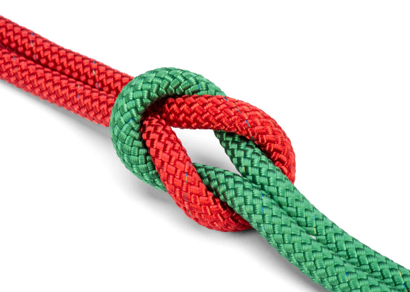 Купить LIROS HERKULES Color 558933-bvs 7ft.ru в интернет магазине Семь Футов