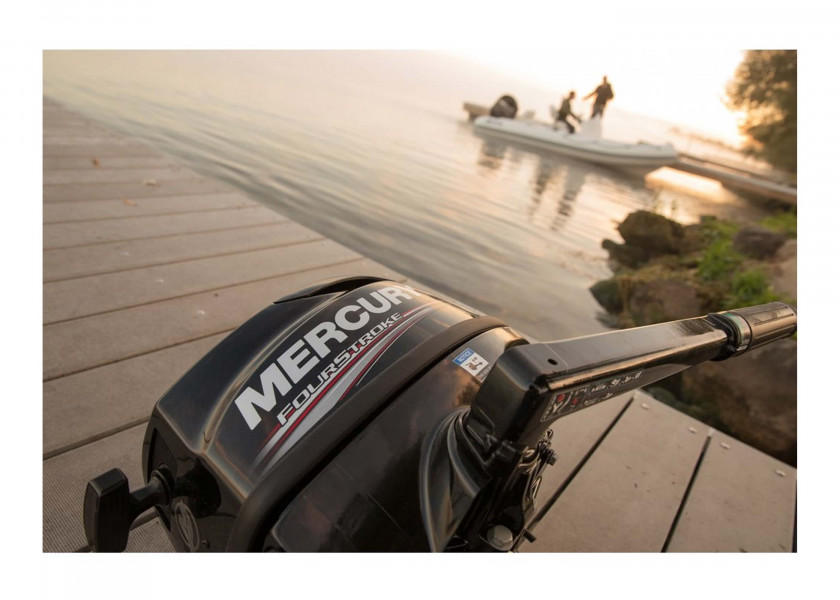 Купить MERCURY F3.5 Outboard Motor / MLH / Long Shaft / Manual Start 60938-bvs 7ft.ru в интернет магазине Семь Футов