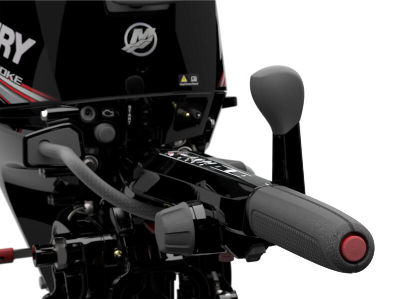 Купить MERCURY F15-EFI-ELH Подвесной мотор F15 EFI ELH / длинный вал / электрический запуск 7ft.ru в интернет магазине Семь Футов