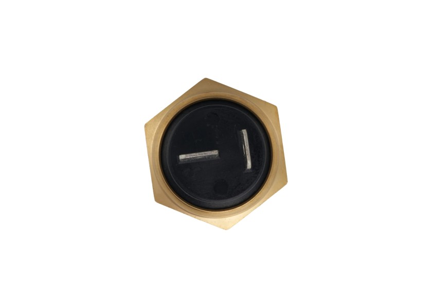 Купить Water Temperature Sensor for Yanmar 1GM / incl. alarm 79122-bvs 7ft.ru в интернет магазине Семь Футов