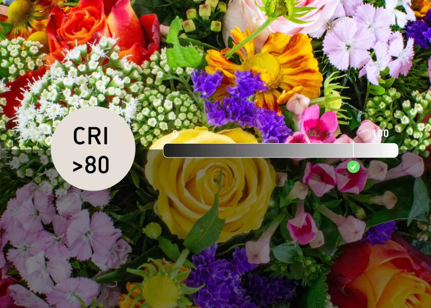 Купить SEATEC LED Ceiling Light with Switch / white 29817-bvs 7ft.ru в интернет магазине Семь Футов