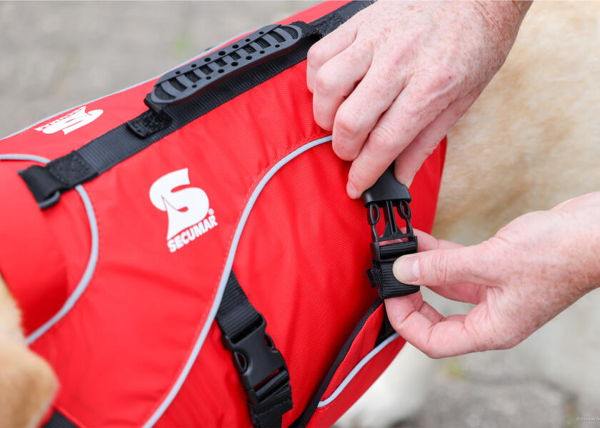 Купить SECUMAR SECUDOGS Dog Life Jacket / L 57827-bvs 7ft.ru в интернет магазине Семь Футов
