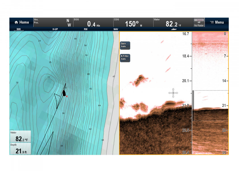 Купить Raymarine E70204 модуль плоттера CP100 CHIRP DownVision Grey 7ft.ru в интернет магазине Семь Футов