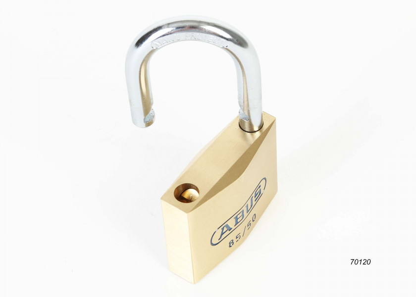 Купить ABUS 04808-1 Навесной замок/одновременное запирание / Высота дужки в свету: 22,5 мм; Толщина: 6 мм 7ft.ru в интернет магазине Семь Футов