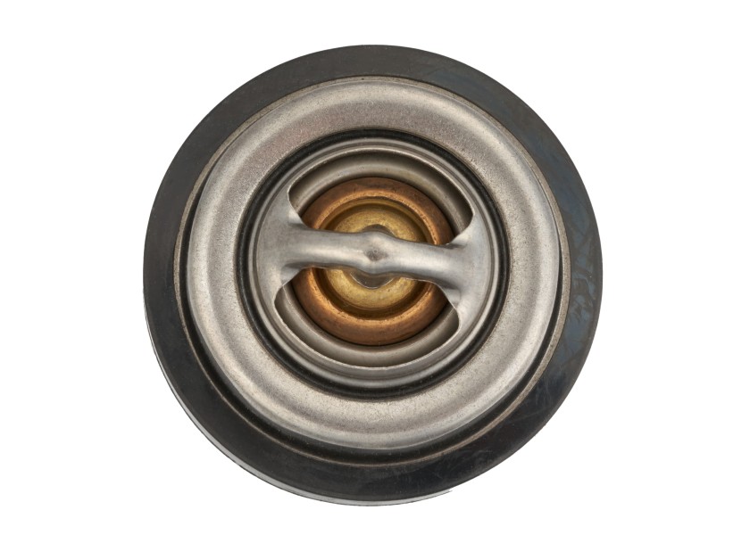 Купить Thermostat Kit for Volvo Penta 2001 / 2002 / 2003 79136-bvs 7ft.ru в интернет магазине Семь Футов