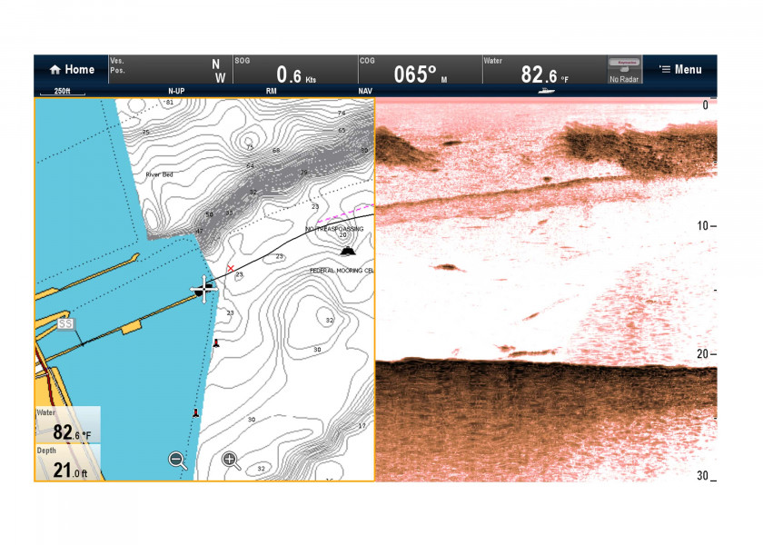 Купить Raymarine E70204 модуль плоттера CP100 CHIRP DownVision Grey 7ft.ru в интернет магазине Семь Футов