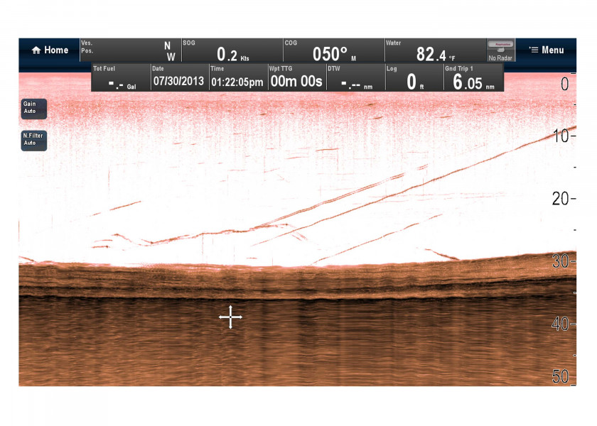 Купить Raymarine E70204 модуль плоттера CP100 CHIRP DownVision Grey 7ft.ru в интернет магазине Семь Футов