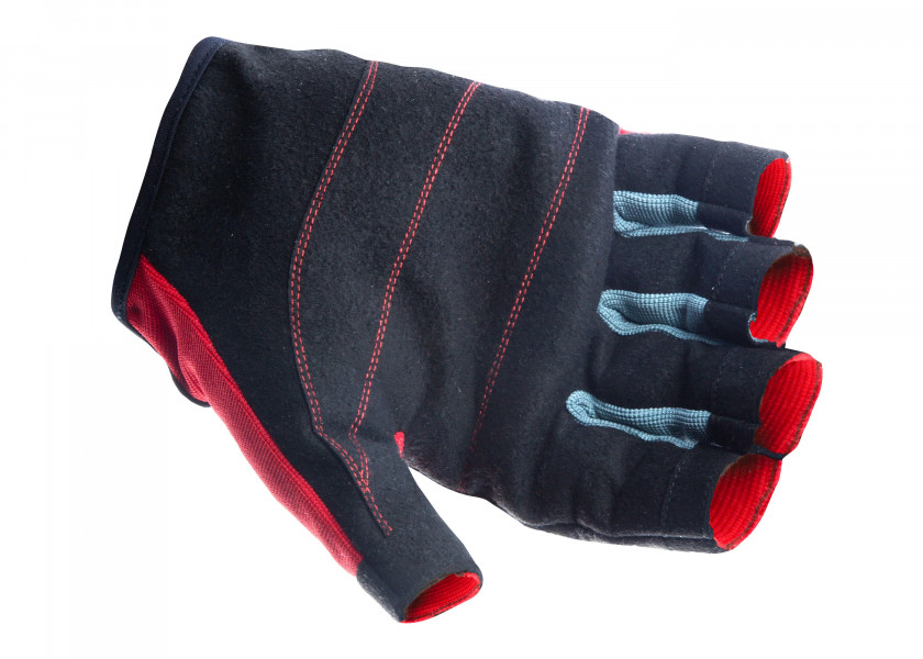 Купить SEATEC TEAM Glove / fingerless 472757-bvs 7ft.ru в интернет магазине Семь Футов