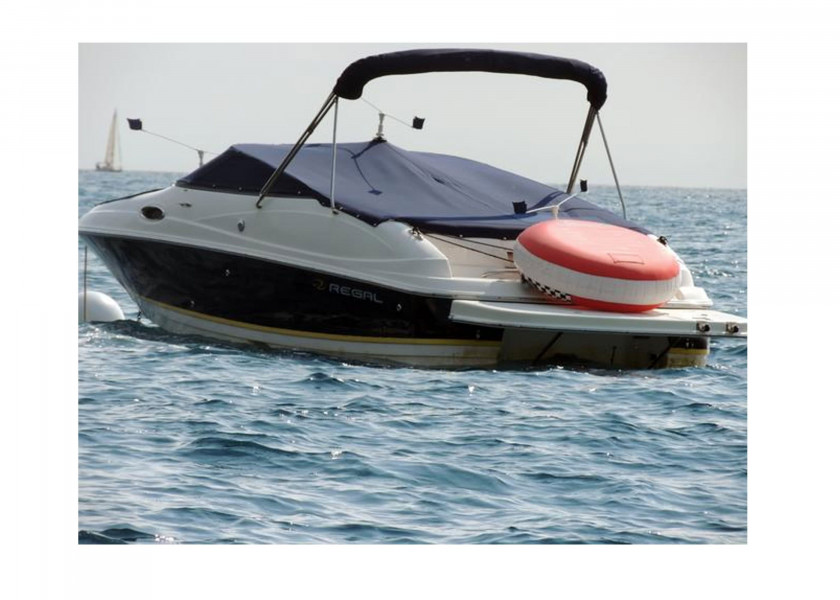 Купить STOPGULL Bird Defense 21377-bvs 7ft.ru в интернет магазине Семь Футов