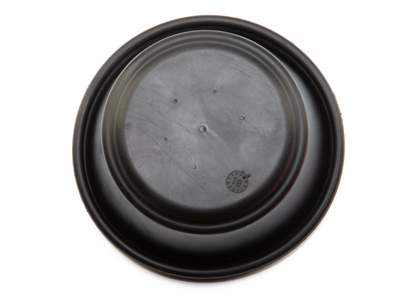 Купить PLASTIMO Replacement Diaphragm for 925/1038 Pump 64343-bvs 7ft.ru в интернет магазине Семь Футов