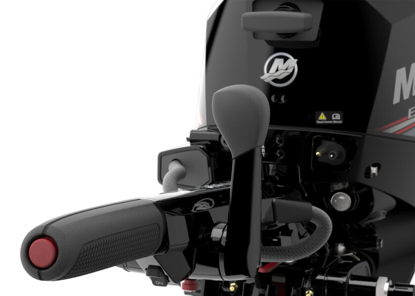 Купить MERCURY F20-EFI-ELH Подвесной мотор F20 EFI ELH / длинный вал / электрический запуск 7ft.ru в интернет магазине Семь Футов