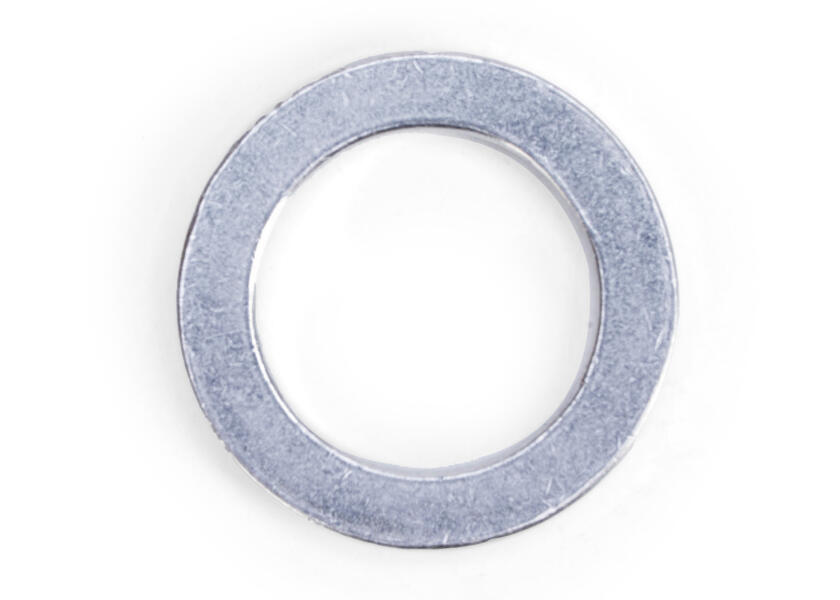 Купить HONDA Engine Oil Drain Gasket for BF25 - BF250 / 12mm 52445-bvs 7ft.ru в интернет магазине Семь Футов