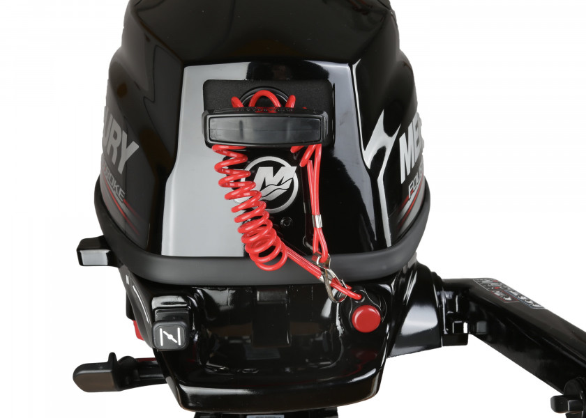 Купить MERCURY F3.5 Outboard Motor / MLH / Long Shaft / Manual Start 60938-bvs 7ft.ru в интернет магазине Семь Футов