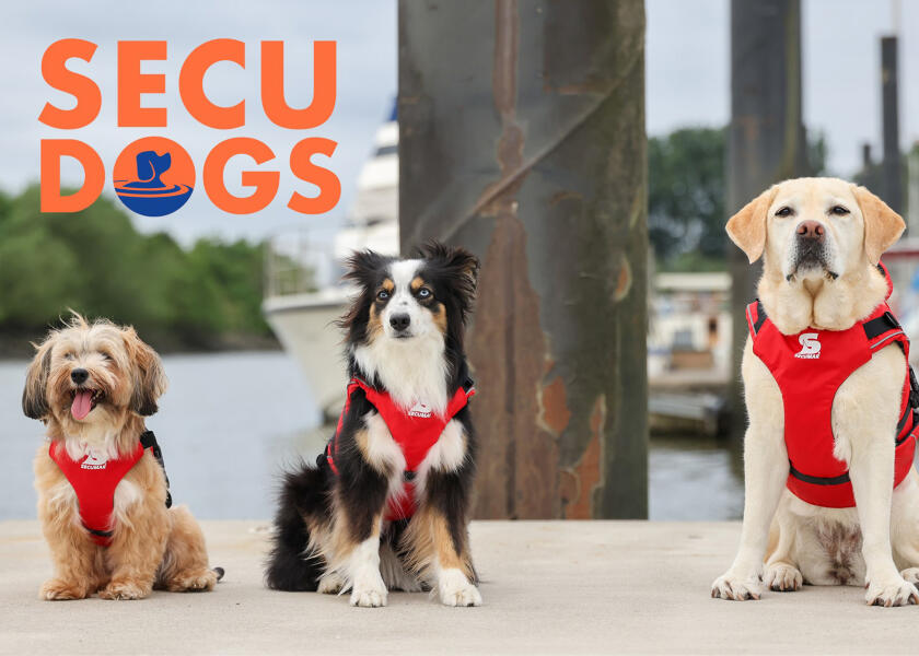 Купить SECUMAR SECUDOGS Dog Life Jacket / XL 57828-bvs 7ft.ru в интернет магазине Семь Футов