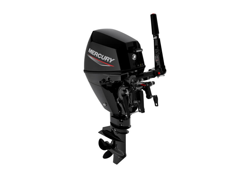 Купить MERCURY F9.9 EFI EH Outboard Motor / Short Shaft / Electric Start 60950-bvs 7ft.ru в интернет магазине Семь Футов