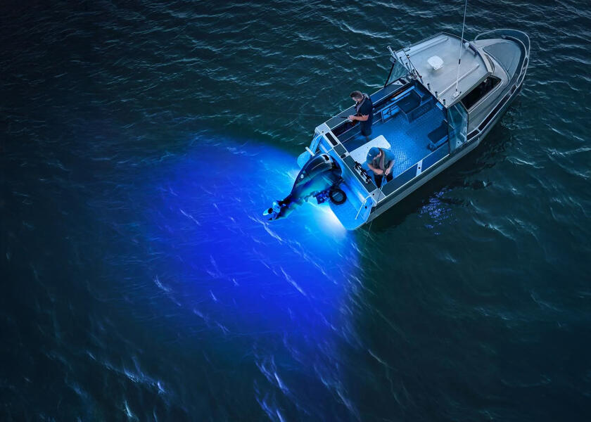 Купить HELLA MARINE APELO A2 Underwater LED Light / aluminium / anthracite / 3000 33254-bvs 7ft.ru в интернет магазине Семь Футов