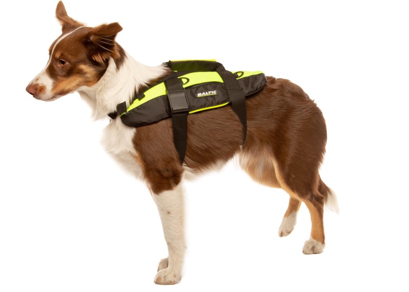 Купить PROFESSIONAL Dog Life Jacket / for 40 - 70 kg 57536-bvs 7ft.ru в интернет магазине Семь Футов