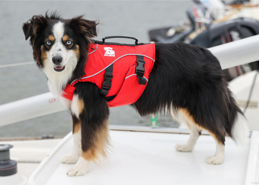Купить SECUMAR SECUDOGS Dog Life Jacket / L 57827-bvs 7ft.ru в интернет магазине Семь Футов