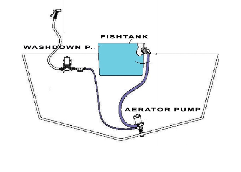 Купить OCEAN TECHNOLOGIES Double Port Pump 750/24 V 76906-bvs 7ft.ru в интернет магазине Семь Футов