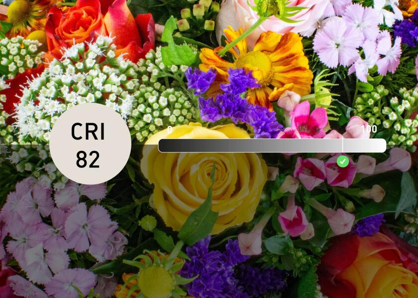 Купить SEATEC LED Reading Light with Dimmer & USB / white 31989-bvs 7ft.ru в интернет магазине Семь Футов