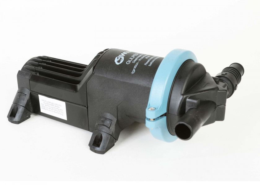 Купить WHALE GULPER 220 / 24 V 52155-bvs 7ft.ru в интернет магазине Семь Футов