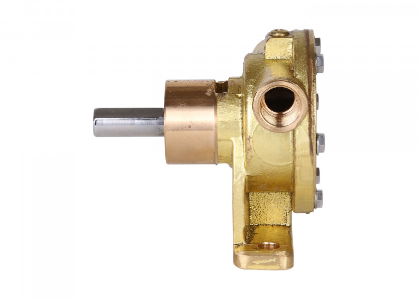 Купить Sea Water Pump / Impeller Pump for Farymann & Fischer Panda 57119-bvs 7ft.ru в интернет магазине Семь Футов