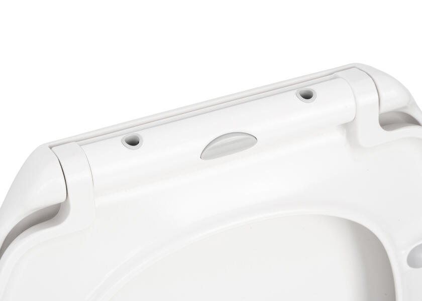 Купить SANIMARIN Replacement Lid for Sanimarin 31/35 / Soft Close 44374-bvs 7ft.ru в интернет магазине Семь Футов