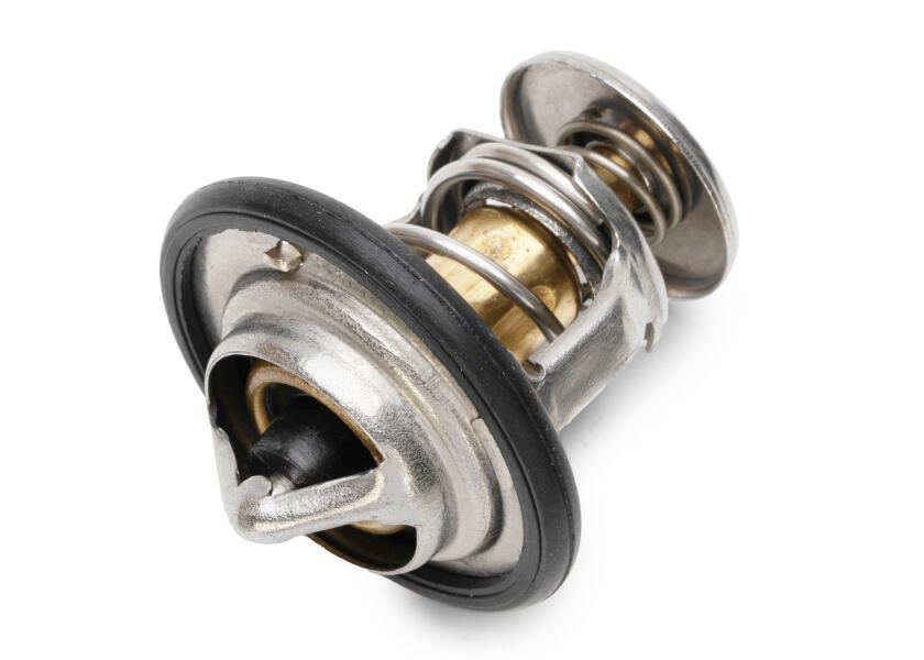 Купить Thermostat for Yanmar 2YM15 / 3YM / 3YM20 / 3YM30 79352-bvs 7ft.ru в интернет магазине Семь Футов