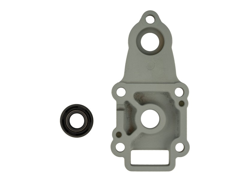 Купить MERCURY Water Pump Housing 803750A01 52050-bvs 7ft.ru в интернет магазине Семь Футов